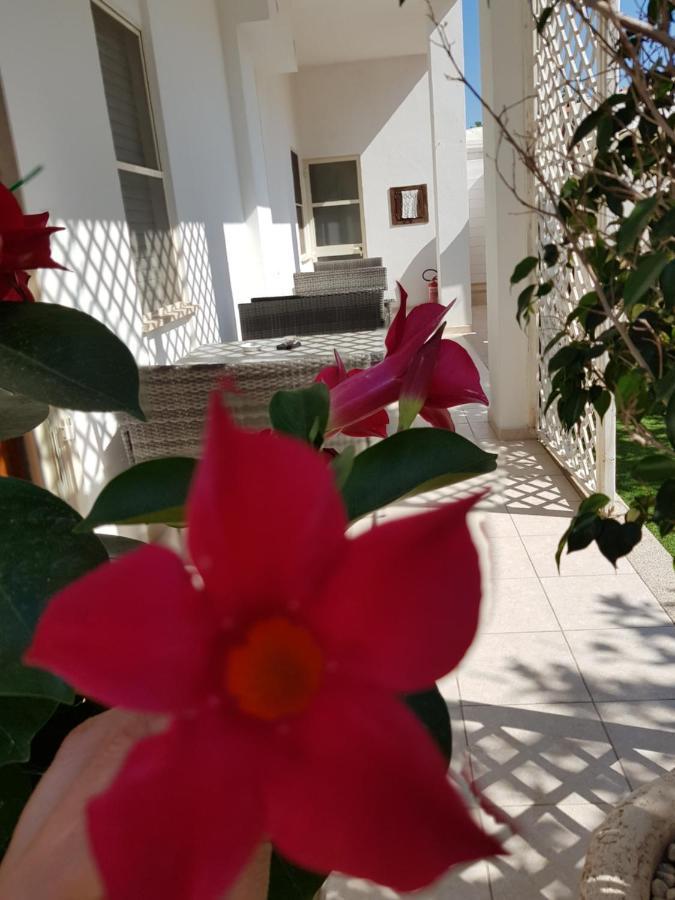 Zia Mia B&B Olbia Eksteriør bilde
