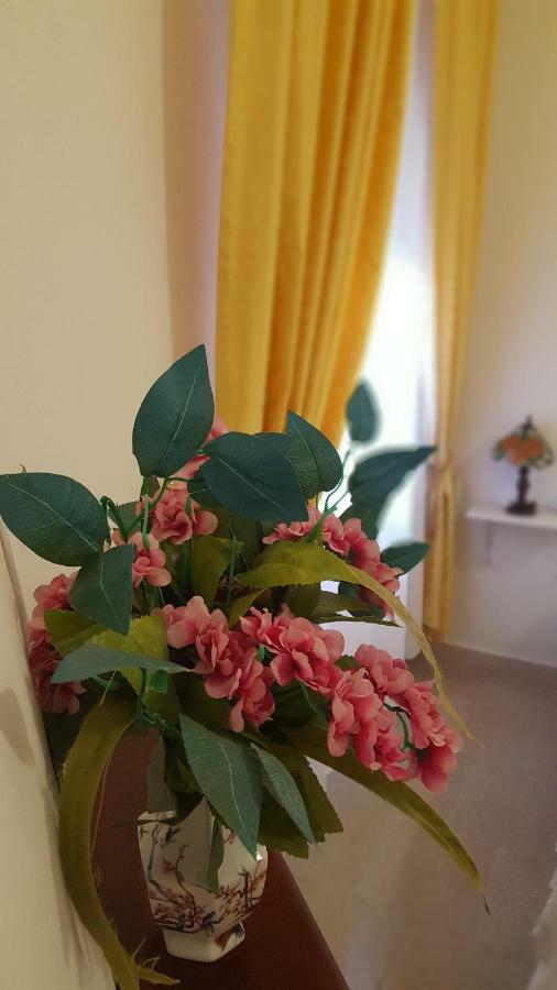 Zia Mia B&B Olbia Eksteriør bilde