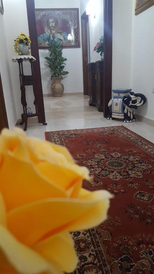 Zia Mia B&B Olbia Eksteriør bilde